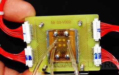 Вчені пропонують робити електроніку із грибів