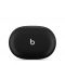Наушники TWS Beats by Dr. Dre Studio Buds Black (MJ4X3)