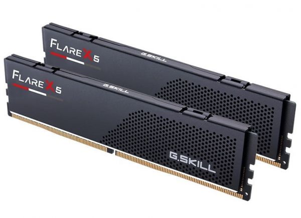 Модуль памяти DDR5 2x16GB/5600 G.Skill Flare X5 (F5-5600J3636C16GX2-FX5)