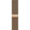 Apple Watch Series 10 GPS + Cellular 46mm Gold Titanium Case w. Gold Milanese Loop - M/L (MX003)