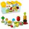 Блоковий конструктор LEGO Duplo Органічний сад (10984)
