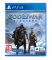Игра God of War Ragnarök PS4