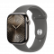 Apple Watch Series 10 GPS + Cellular 46mm Natural Titanium Case Stone Grey Sport Band - M/L (MWYA3)
