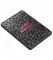 SSD накопичувач Apacer AS350 Panther 256 GB (AP256GAS350-1)