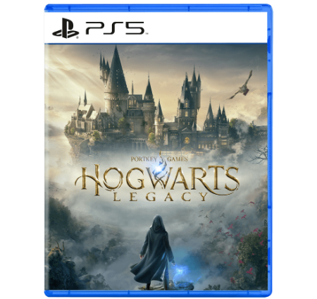 Гра Hogwarts Legacy PS5 (5051895413425)