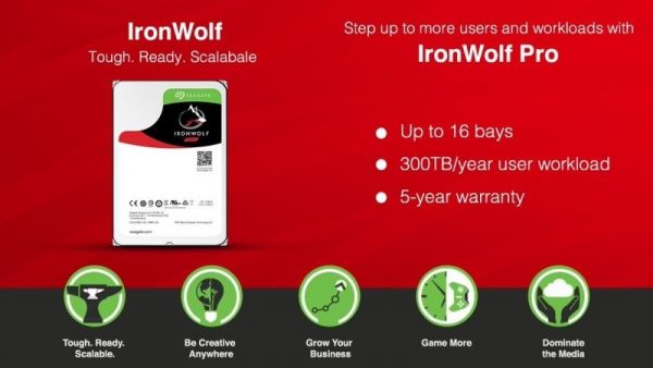 Накопичувач HDD SATA 6.0TB Seagate IronWolf Pro 7200rpm 256MB (ST6000NT001)