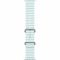 Apple Watch Ultra 2 GPS + Cellular 49mm Natural Titanium Case with Ice Blue Ocean Band (MXTF3)